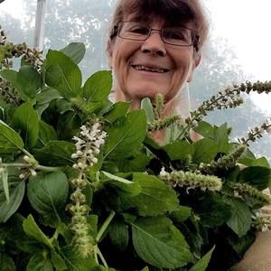 Meet your Posher, Becky